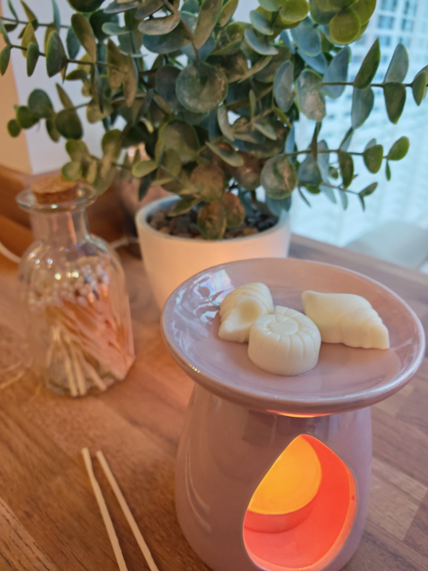 SHELL WAX MELTS