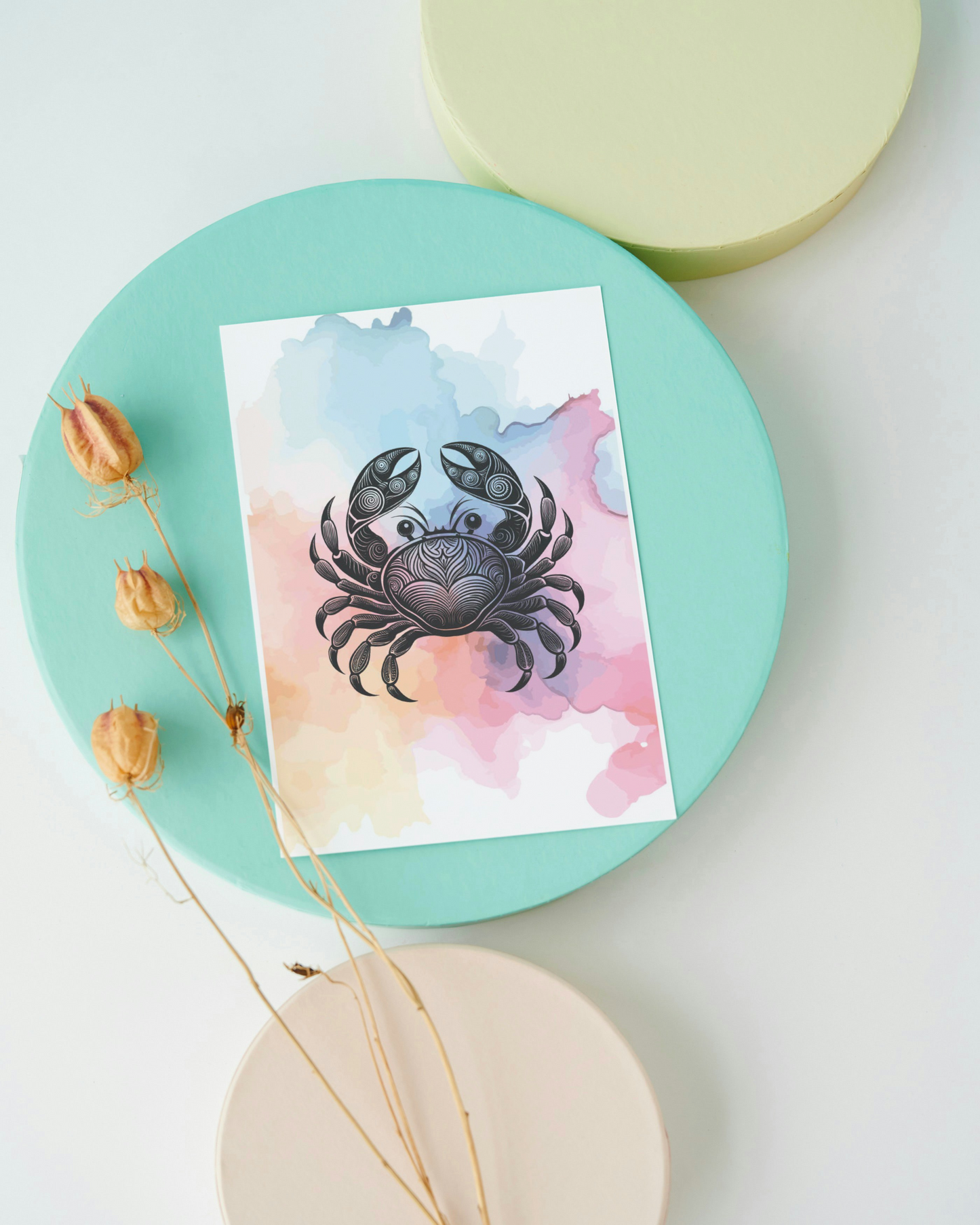 Art Card - NORTH COAST COLLECTION